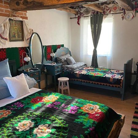 Appartement Casa Cezara à Silvasu de Jos Extérieur photo
