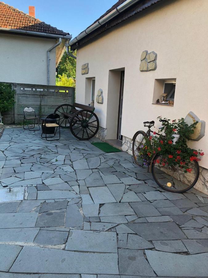Appartement Casa Cezara à Silvasu de Jos Extérieur photo