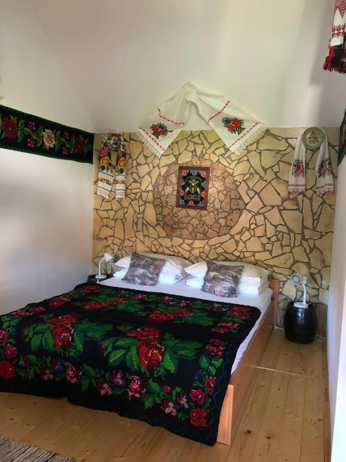 Appartement Casa Cezara à Silvasu de Jos Extérieur photo
