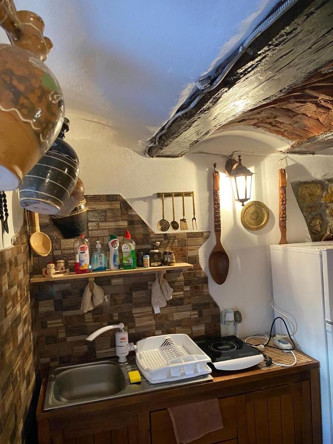 Appartement Casa Cezara à Silvasu de Jos Extérieur photo