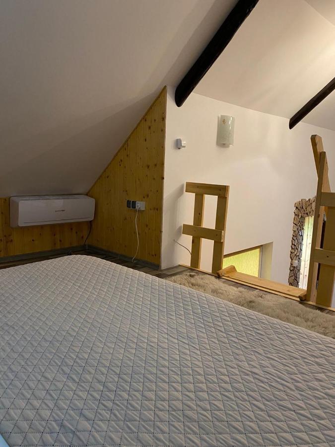 Appartement Casa Cezara à Silvasu de Jos Extérieur photo