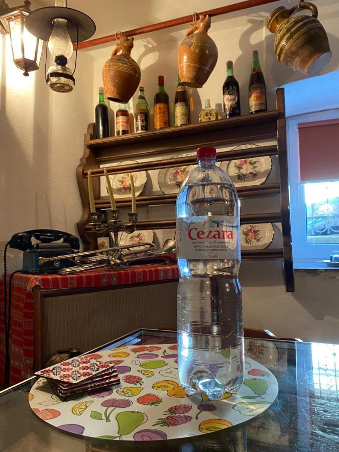 Appartement Casa Cezara à Silvasu de Jos Extérieur photo