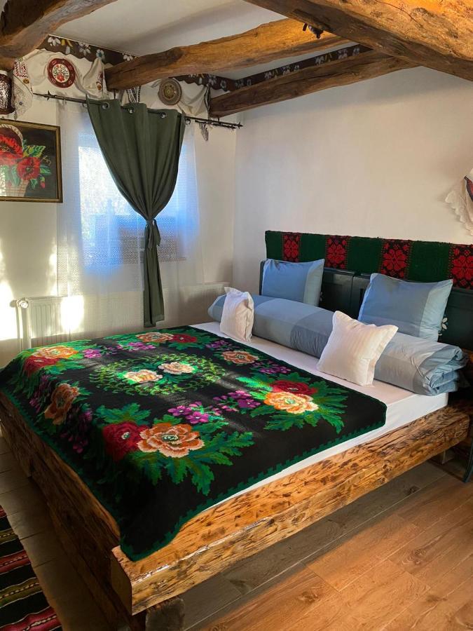 Appartement Casa Cezara à Silvasu de Jos Extérieur photo