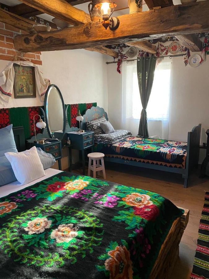 Appartement Casa Cezara à Silvasu de Jos Extérieur photo