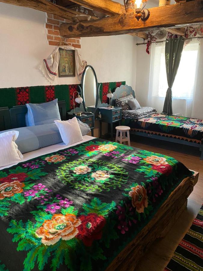 Appartement Casa Cezara à Silvasu de Jos Extérieur photo