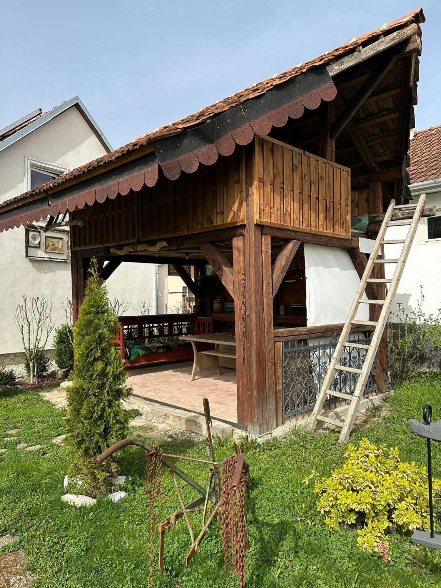 Appartement Casa Cezara à Silvasu de Jos Extérieur photo