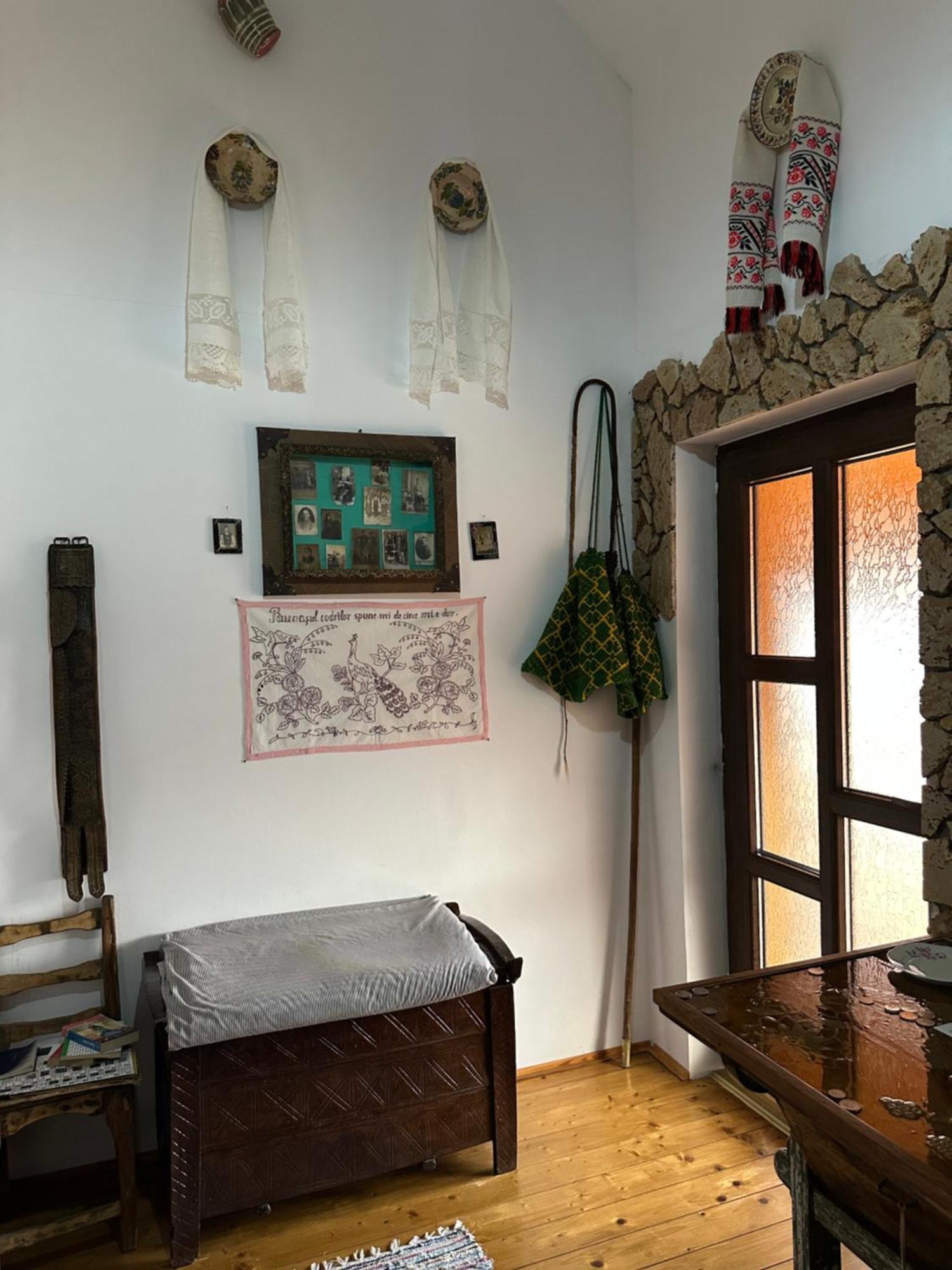 Appartement Casa Cezara à Silvasu de Jos Extérieur photo