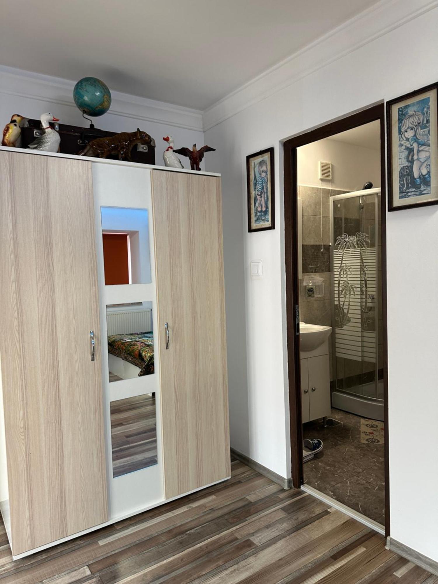 Appartement Casa Cezara à Silvasu de Jos Extérieur photo