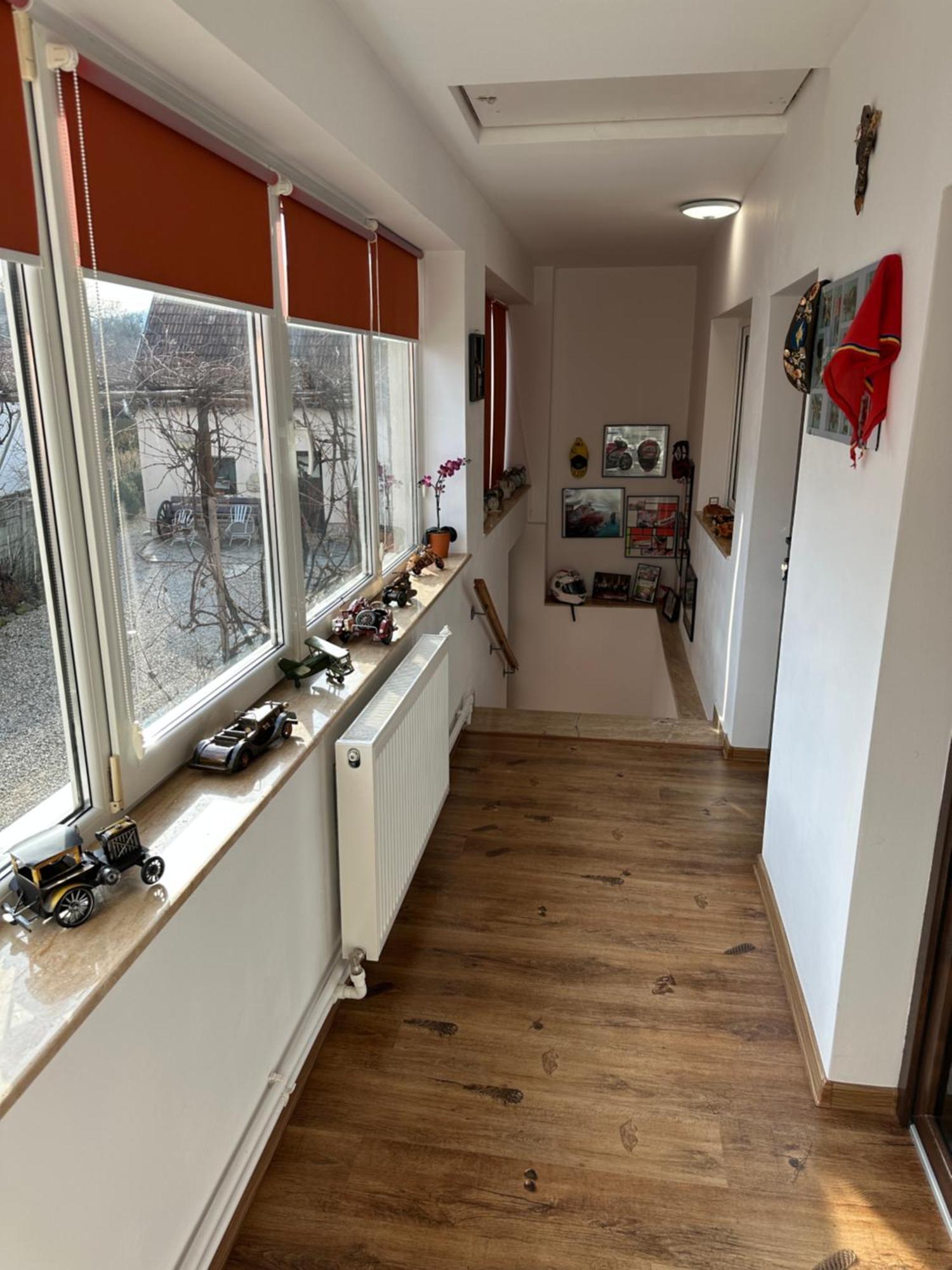Appartement Casa Cezara à Silvasu de Jos Extérieur photo