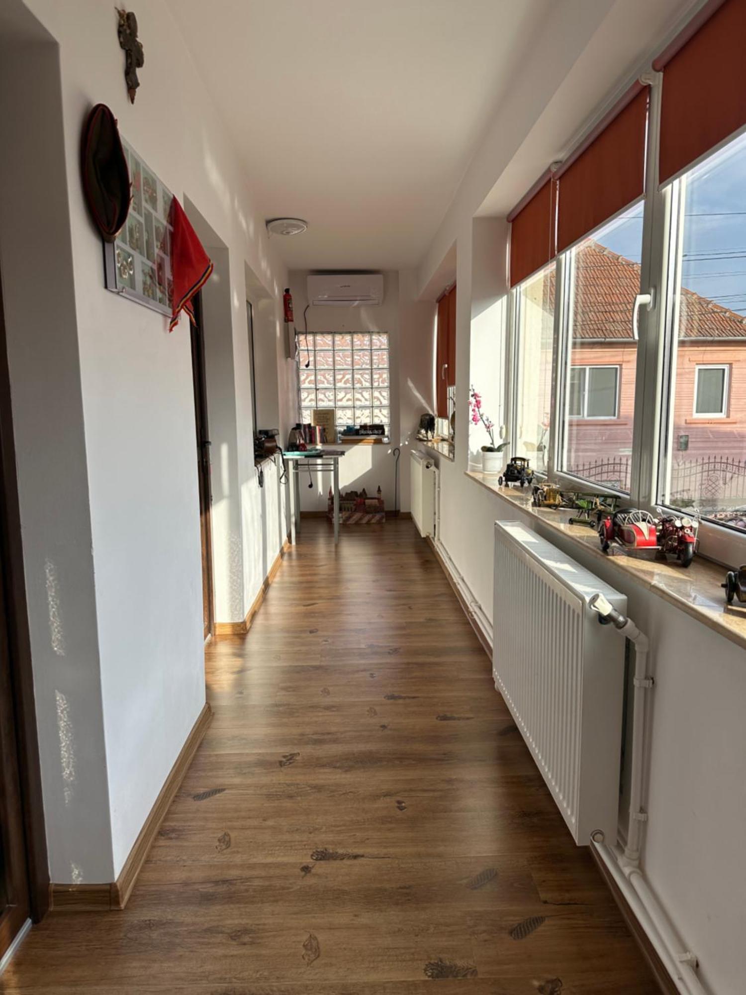 Appartement Casa Cezara à Silvasu de Jos Extérieur photo