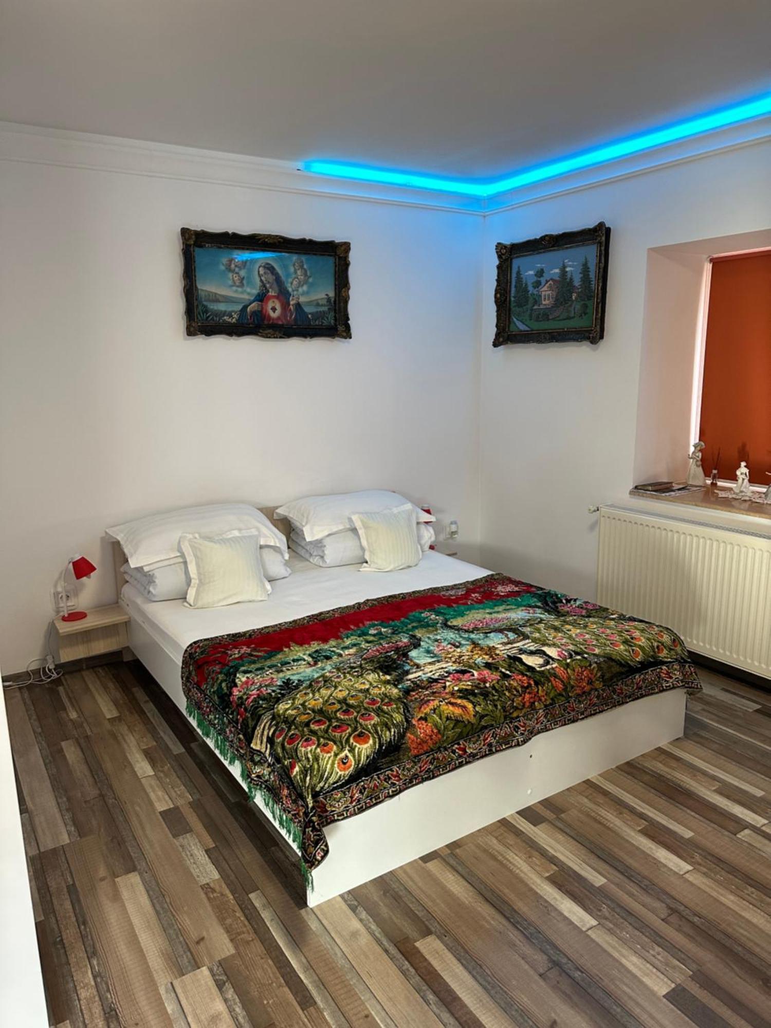 Appartement Casa Cezara à Silvasu de Jos Extérieur photo